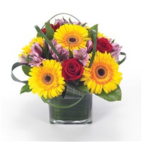 Sunflower Fields flower bouquet (BF17-11K)